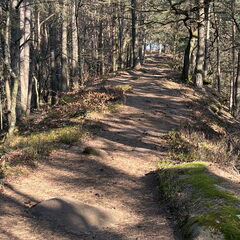 23-03-01 15-16-22 4538